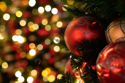 Close-up of christmas tree