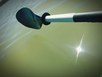 High angle view of green leaf on water