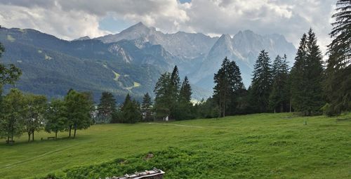 Panoramic shot of trees on field against sky and mountains