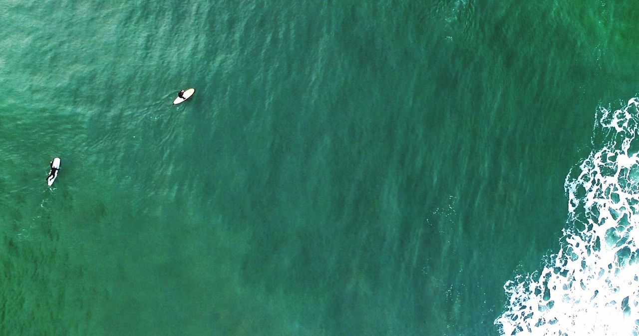 water, waterfront, animal themes, swimming, animals in the wild, high angle view, rippled, wildlife, bird, sea, nature, one animal, lake, tranquility, beauty in nature, floating on water, day, outdoors, flying, two animals