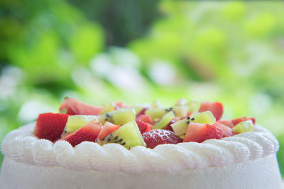 Close-up of cake against trees