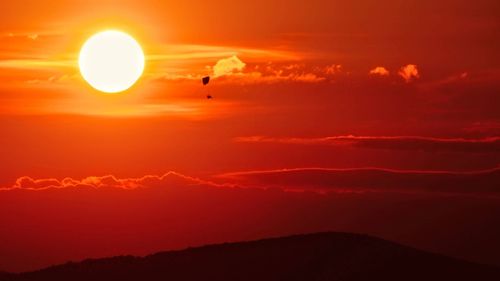 Silhouette bird flying in sky during sunset