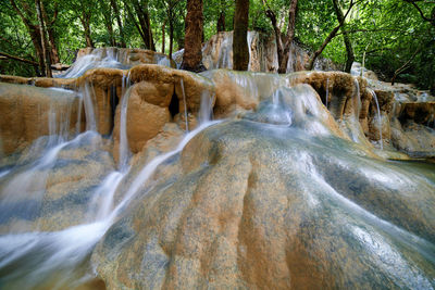 Low angle view of waterfall in forest