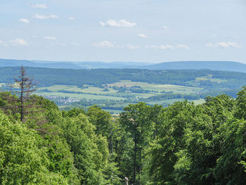 Scenic view of forest against sky