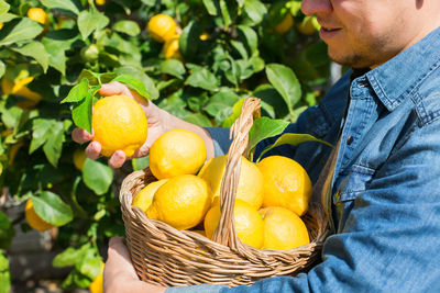 Close-up of man holding fruits in basket