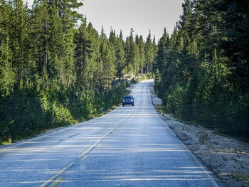 Road amidst trees in forest against clear sky