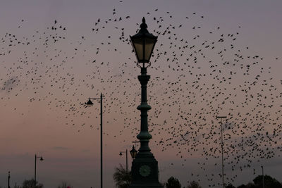 Low angle view of silhouette birds flying against sky