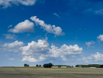 Scenic view of agricultural field against sky