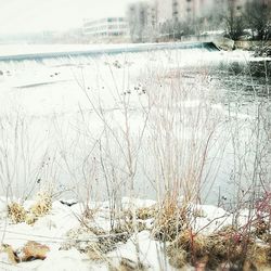 Snow covered landscape against sky