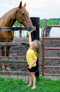 Little girl petting a big brown horse on her family farm