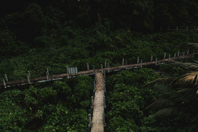 Scenic view of forest