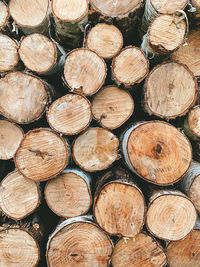 Full frame shot of logs in forest