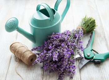 Seasonal pruning of lavender. a bunch of cut lavender and pruning shear. gardening concept