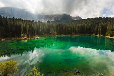 Scenic view of lake and trees against sky