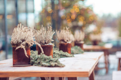 Close-up of potted plant on table