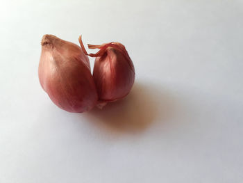 Close-up of red onion on a white background