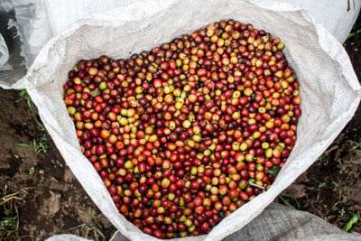 Close-up of fruits in container