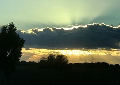 Low angle view of silhouette trees against sky during sunset