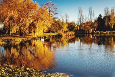 Scenic view of lake in forest during autumn