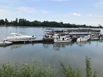 Boats in marina