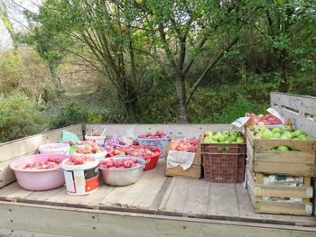 Various fruits in basket on table against trees