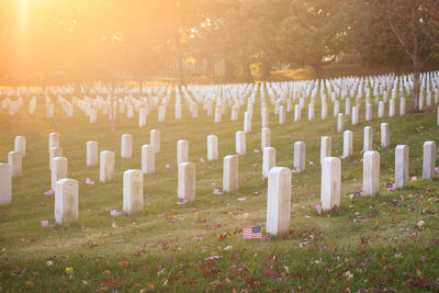 View of cross in cemetery