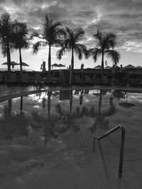 Palm trees by swimming pool against sky