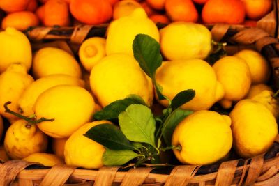 Close-up of fruits in basket