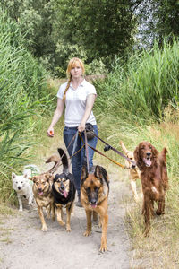 Portrait of mid adult woman with dogs walking on footpath