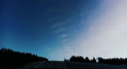 Low angle view of trees against sky