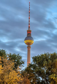 The famous tv tower in berlin at dawn seen through some trees