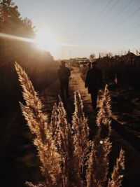 People walking on field against sky during sunset