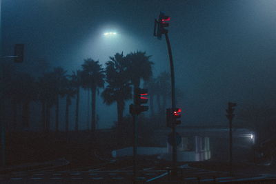 Illuminated street road signals against palm trees in city at night