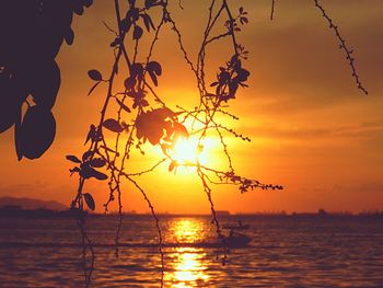 Silhouette tree by sea against sky during sunset