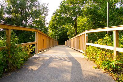 Narrow footbridge along trees and plants