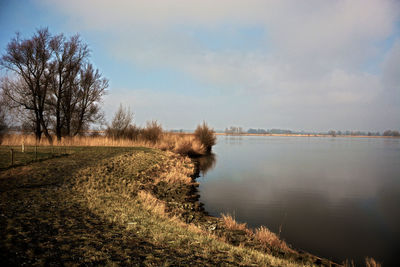 Scenic view of grass and trees against sky