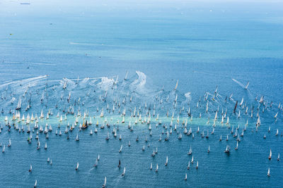 High angle view of sailboats in sea