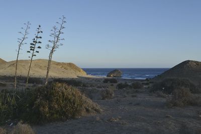 Scenic view of sea against clear sky