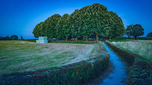 Trees on field against clear blue sky