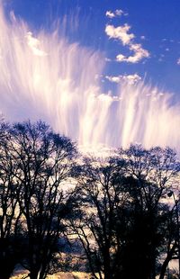 Low angle view of silhouette trees against sky