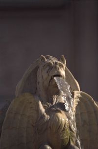 Close-up of angel statue