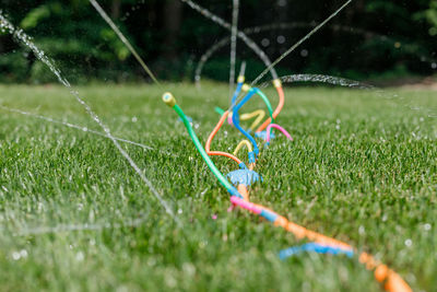 Kids sprinkler spraying water on green grass in summer yard on hot humid day