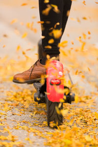 Close-up of orange leaves during autumn