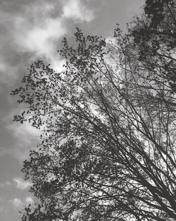 Low angle view of bare tree against cloudy sky