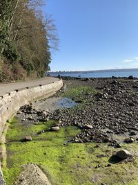 Scenic view of sea against clear sky
