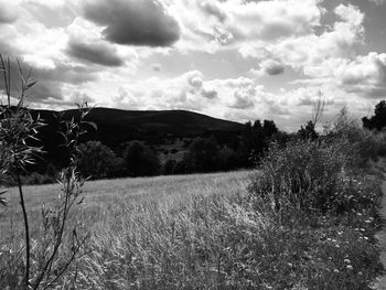 Scenic view of land against sky