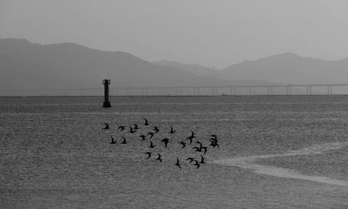 Scenic view of lake against clear sky