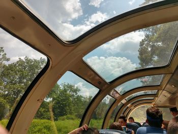 Reflection of trees on side-view mirror of car