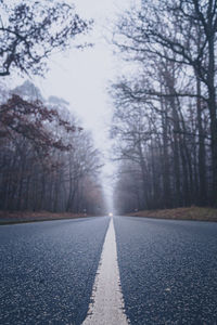 Surface level of empty road along trees