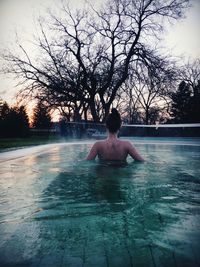 Rear view of shirtless man swimming in pool